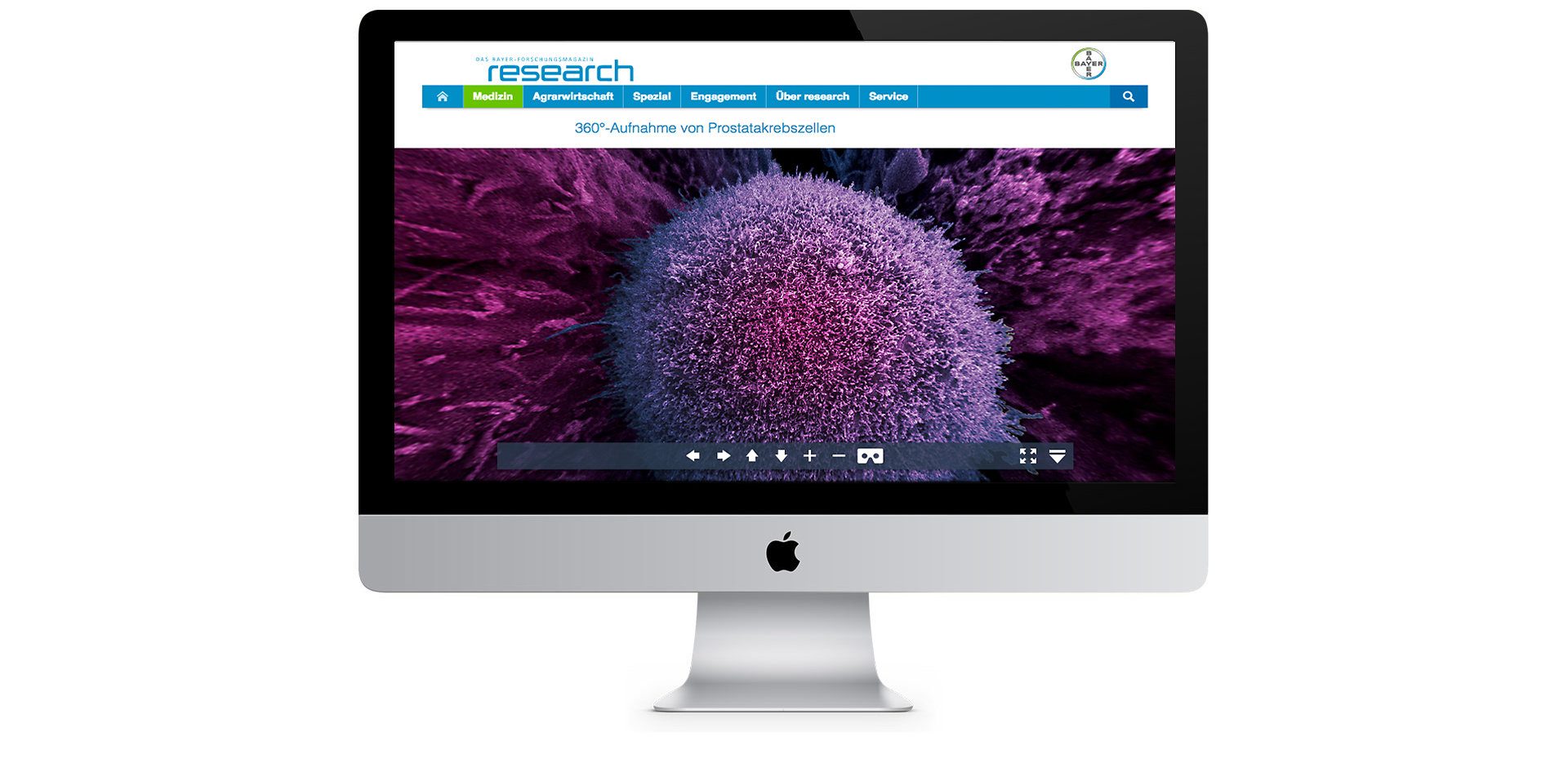 Bayer Research Mock up