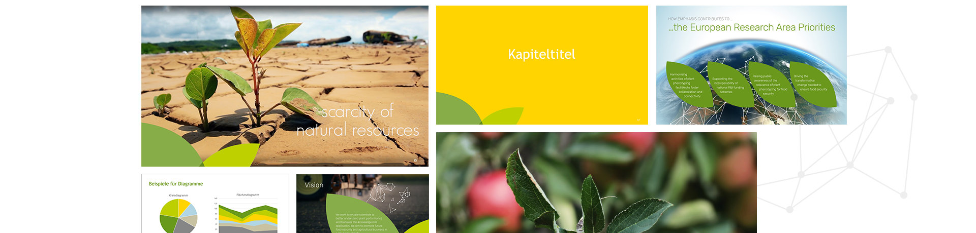 Corporate Design Entwicklung EMPHASIS