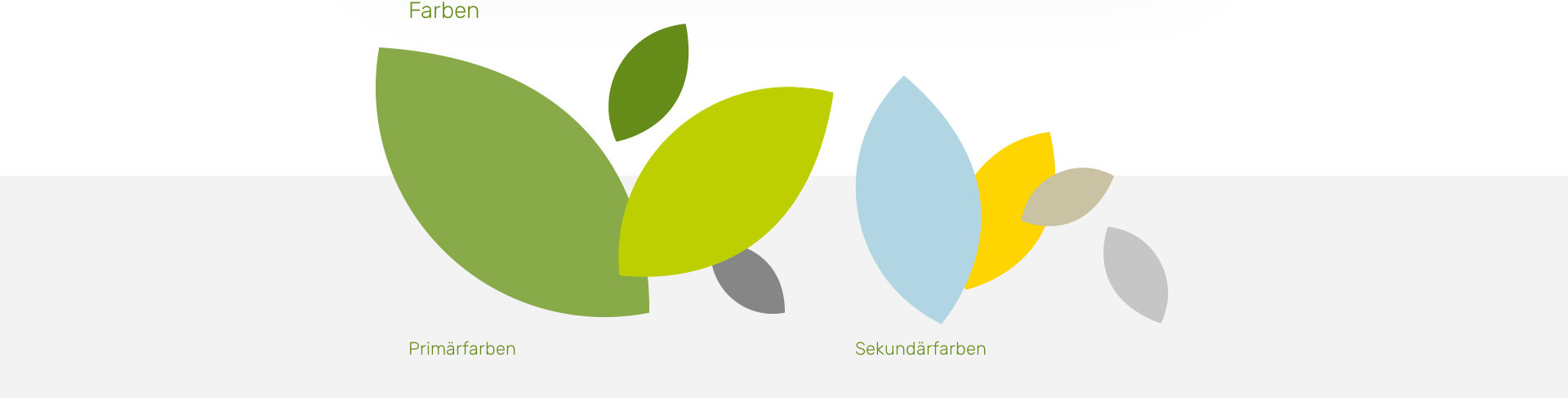 Corporate Design Entwicklung EMPHASIS
