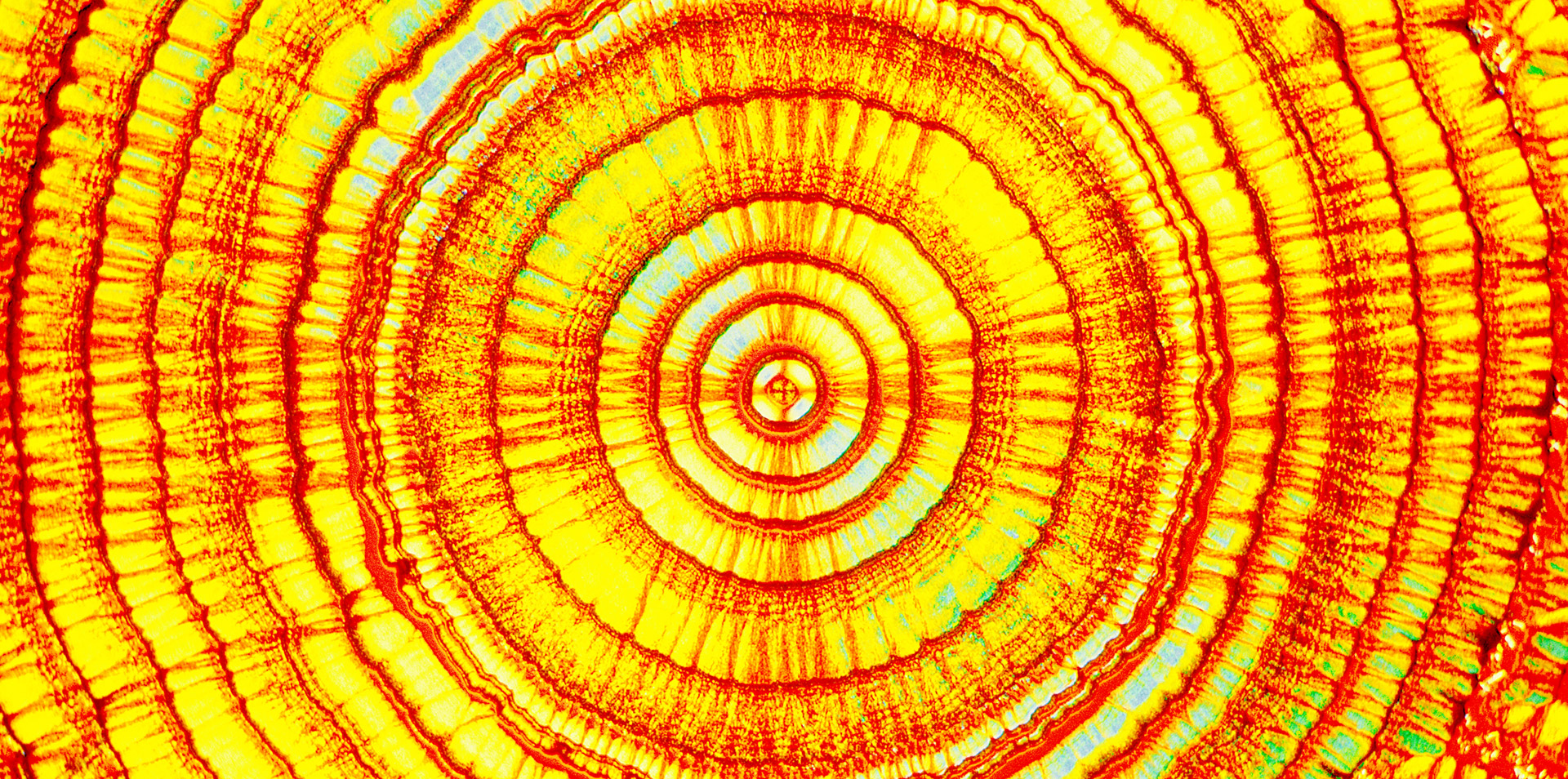 Bayer AG – Gestaltung des Schülerlabors