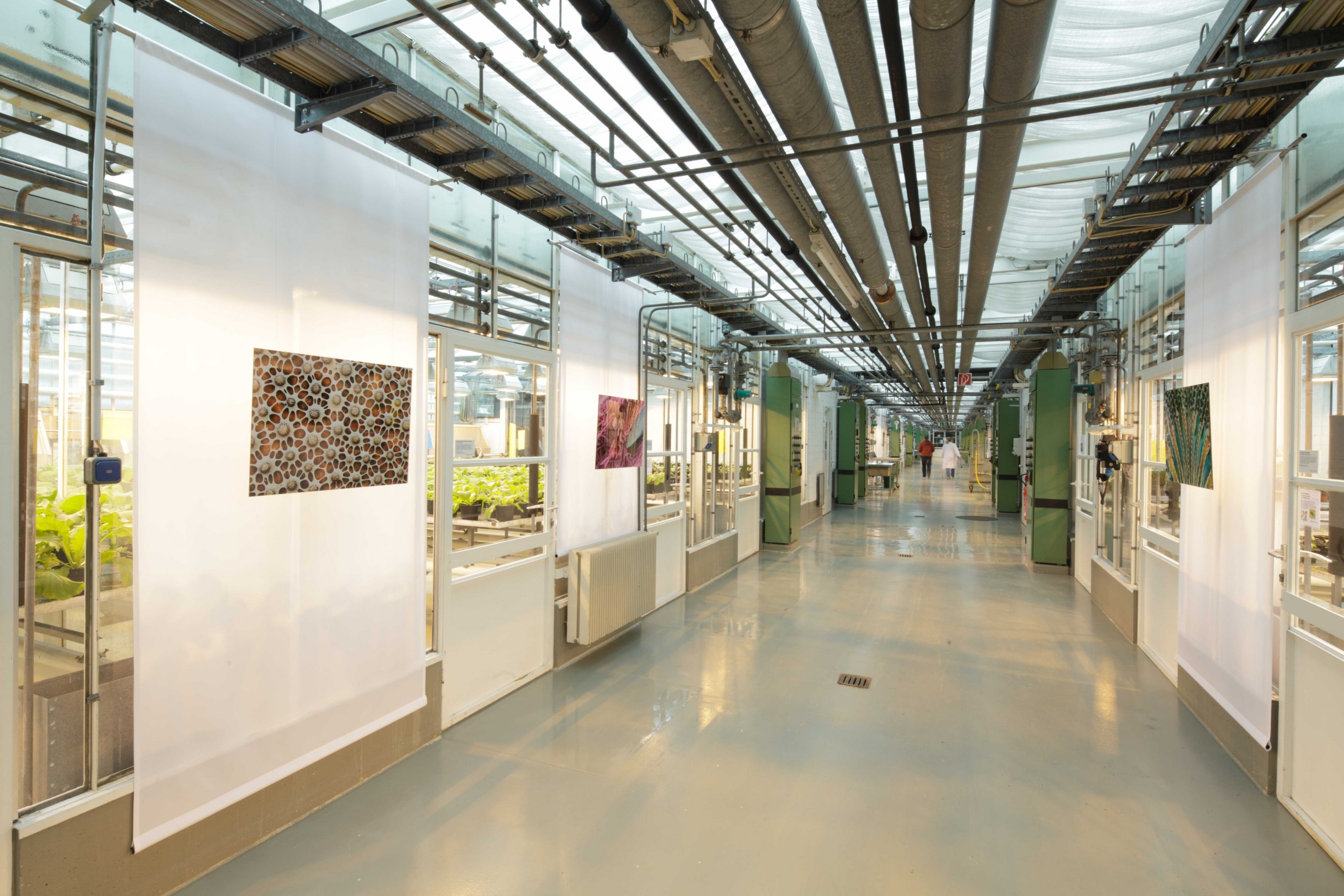 Bayer CropScience – Ausstellung „Die Mustermacher der Natur“ Bayer CropScience – Ausstellung „Die Mustermacher der Natur“