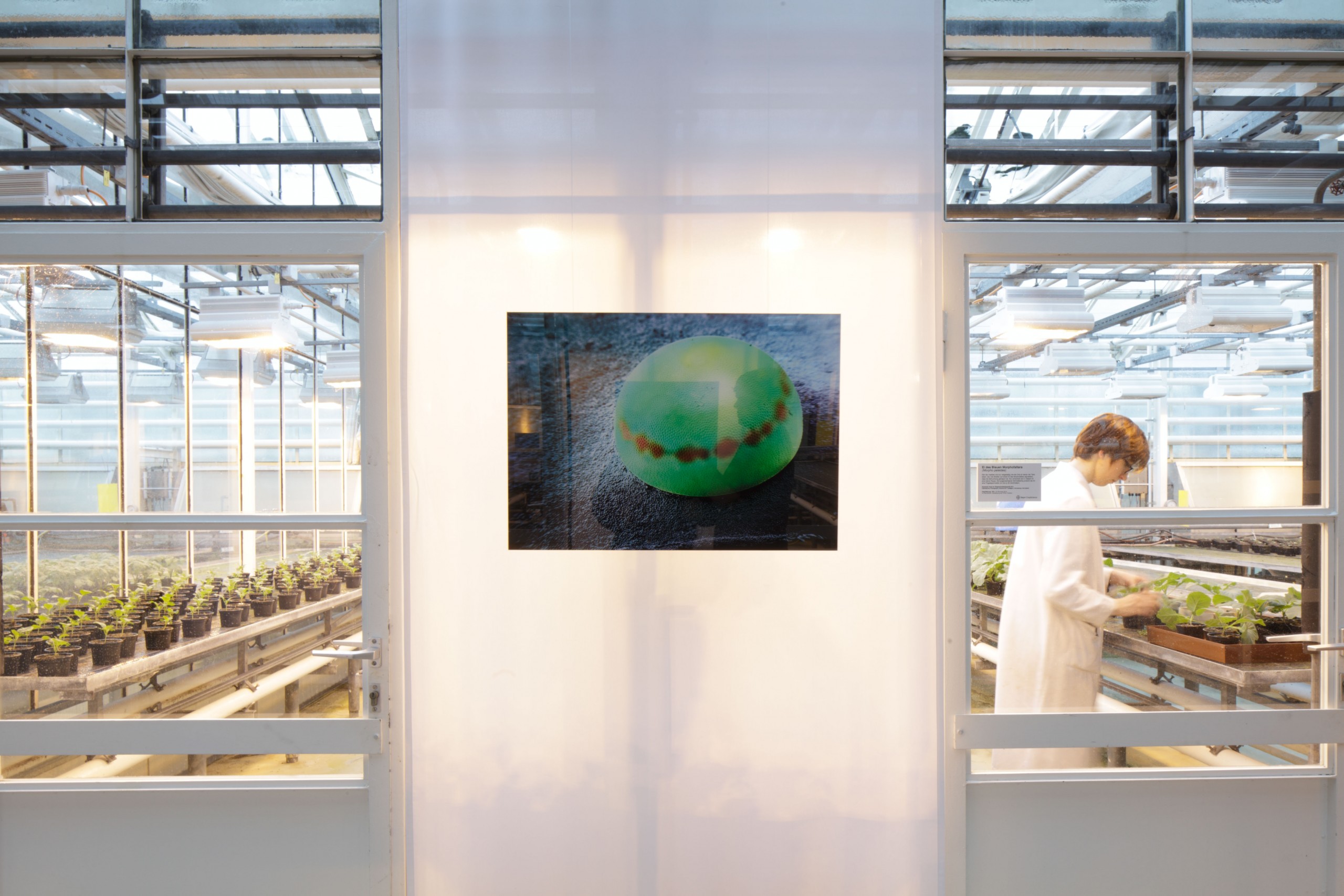 Bayer CropScience – Ausstellung „Die Mustermacher der Natur“ Bayer CropScience – Ausstellung „Die Mustermacher der Natur“