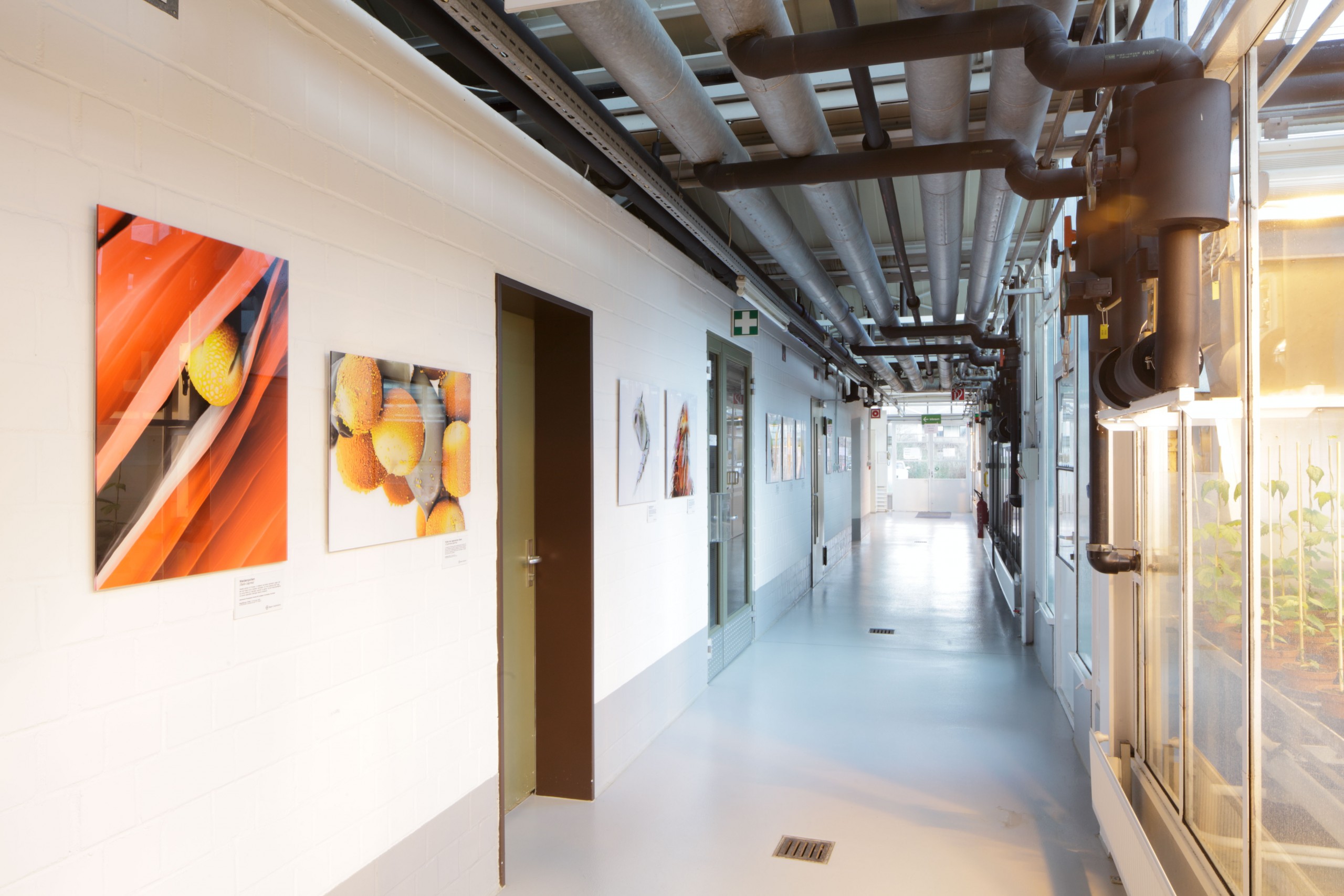 Bayer CropScience – Ausstellung „Die Mustermacher der Natur“ Bayer CropScience – Ausstellung „Die Mustermacher der Natur“