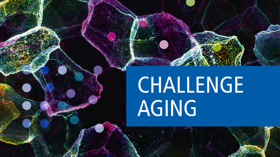 Ausstellung „Challenge Aging – Mikrokosmos Alternsforschung“
