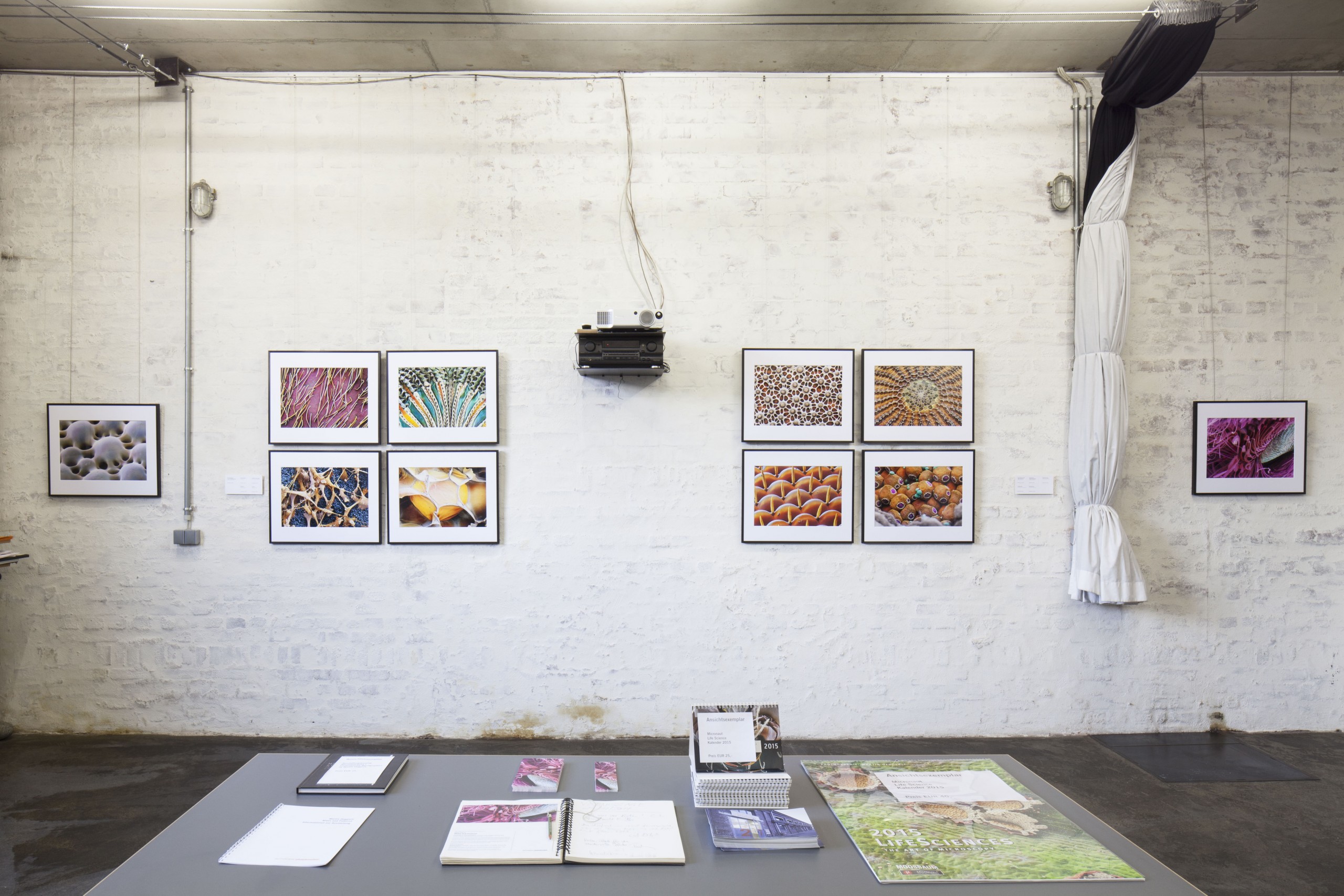 Schaelpic Photokunstbar – Martin Oeggerli, Ausstellung „Mites and Patterns“