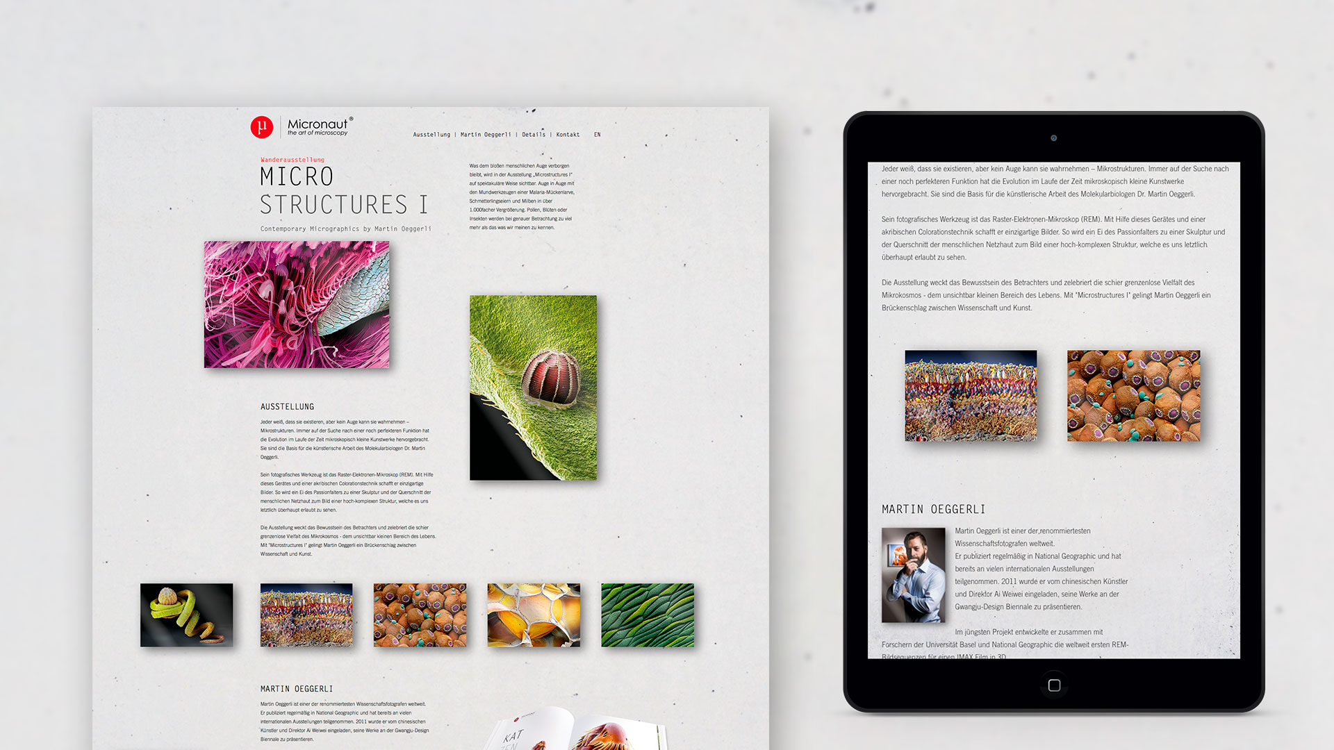 Micronaut – Corporate Design