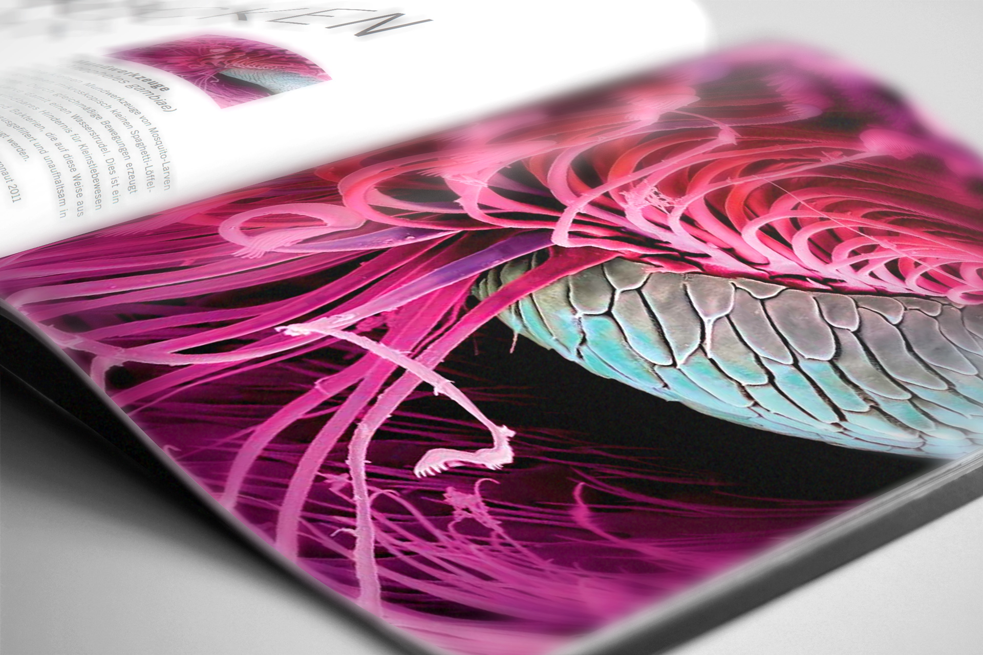 Micronaut – Corporate Design