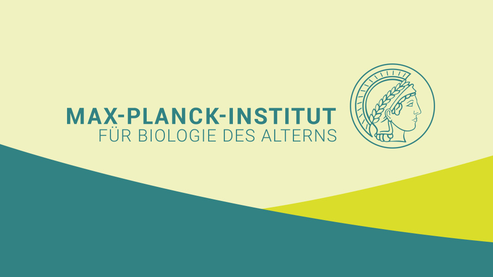 Max-Planck-Institut für Biologie des Alterns – Internet und Intranet Max-Planck-Institut für Biologie des Alterns – Internet und Intranet