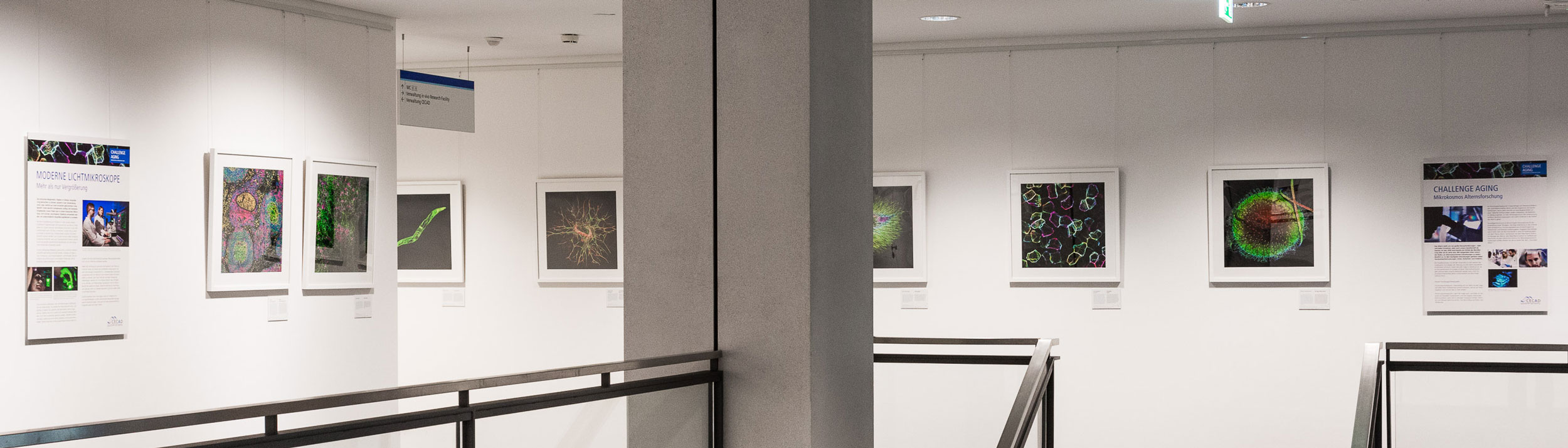 Exzellenzcluster CECAD – Ausstellung Challenge Aging