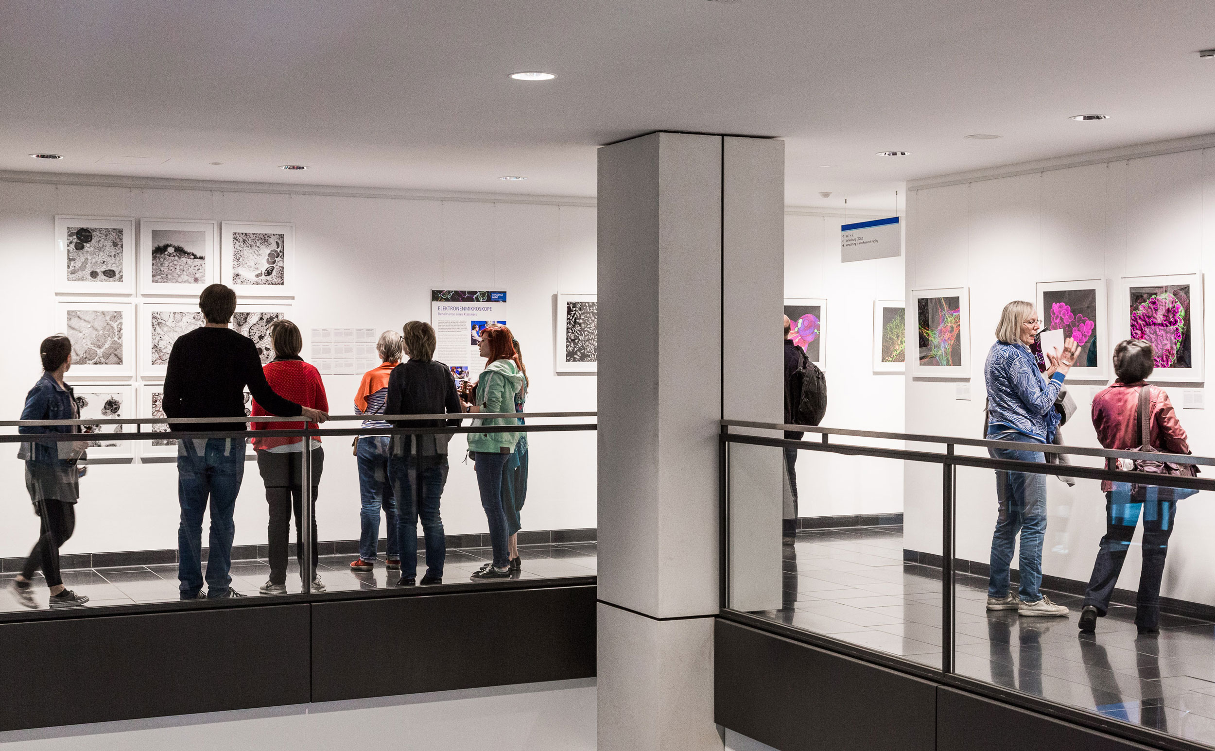 Exzellenzcluster CECAD – Ausstellung Challenge Aging